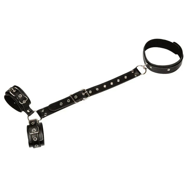 Monica Harness