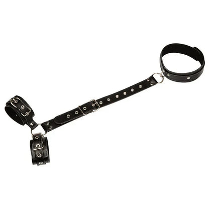 Monica Harness
